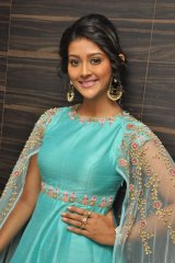 Dwaraka Movie Audio Launch